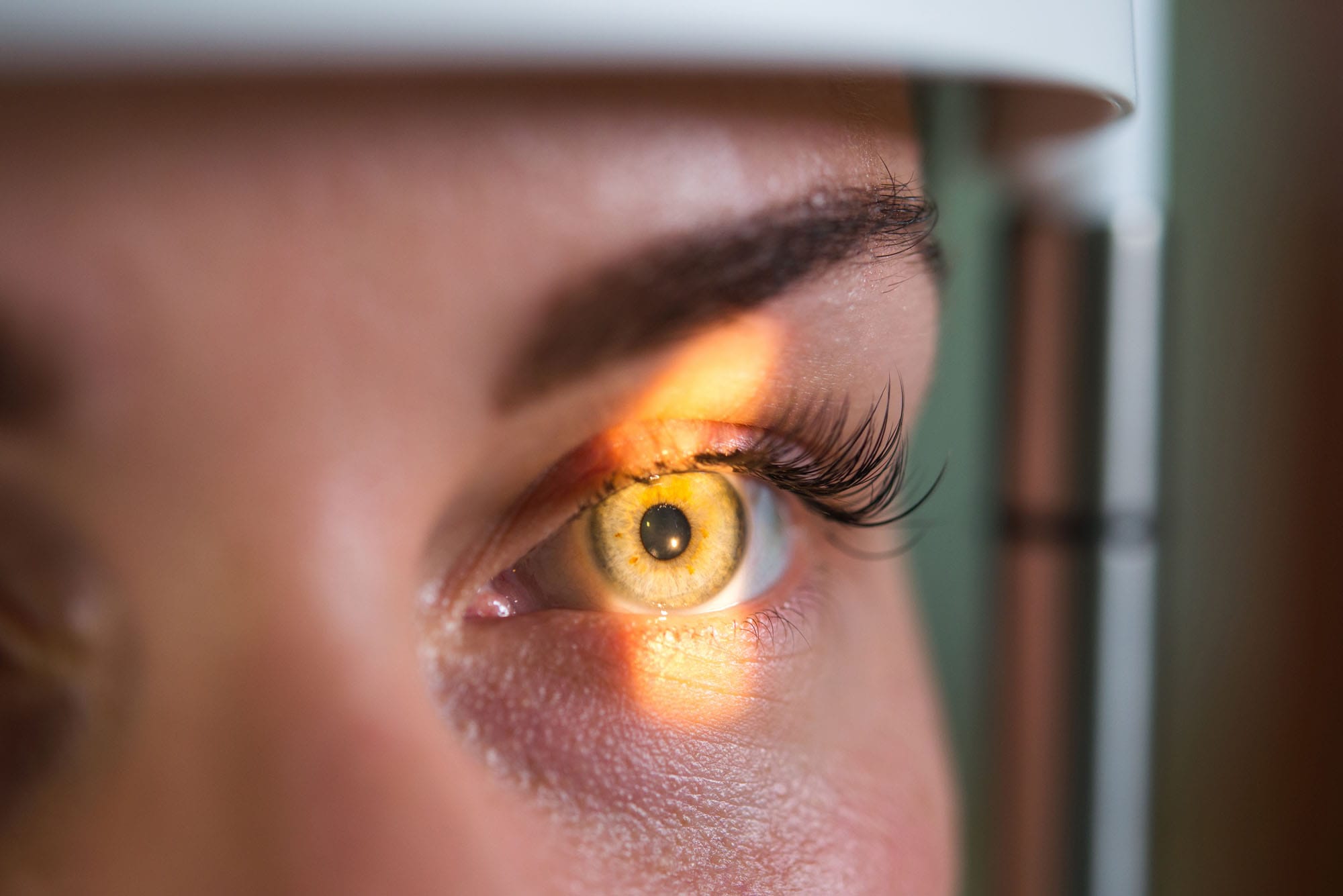 ophthalmology expert witness